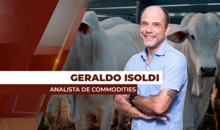 Geraldo Isoldi - Analista de Commodities