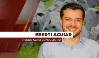 Eberti Aguiar - Consultor da Hegde Agro Consultoria