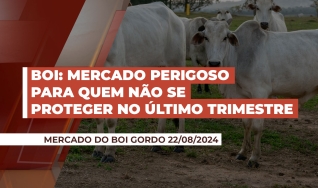 César de Castro Alves - Consultor de Agronegócio do Itaú BBA