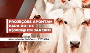 Geraldo Isoldi - Analista de Commodities