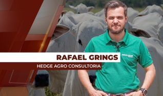 Rafael Grings - Consultor da Hedge Agro Consultoria