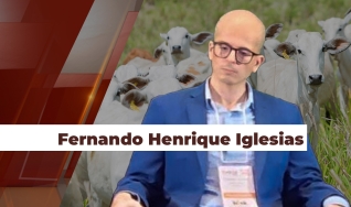 Fernando Henrique Iglesias - Analista da Safras & Mercado