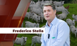 Frederico Stella - Diretor da Famasul