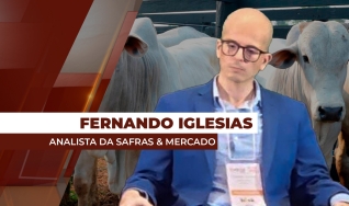 Fernando Henrique Iglesias - Analista da Safras & Mercado