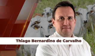 Thiago Bernardino de Carvalho - Pesquisador do Cepea