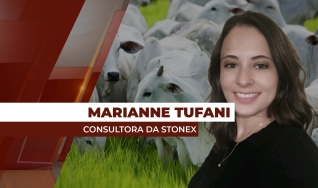 Marianne Tufani - Consultora em Gerenciamento de Riscos da StoneX