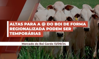 Rafael Grings - Consultor da Hedge Agro Consultoria