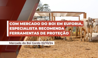 Douglas Coelho - Sócio da Radar Investimentos