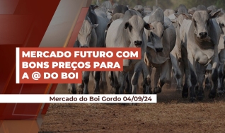 Douglas Coelho - Sócio da Radar Investimentos
