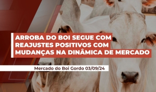 Caio Junqueira - Analista de Mercado da Cross Investimentos