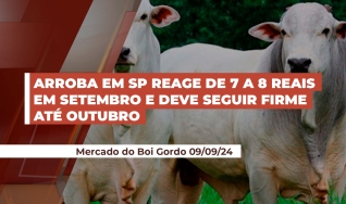 Geraldo Isoldi - Analista de Commodities