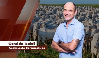 Geraldo Isoldi - Analista de Commodities