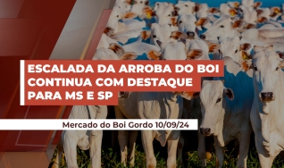 Gustavo Figueiredo - Sócio da Radar Investimentos