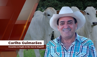 Carlito Guimarães - Pecuarista na Região de São José do Xingu/MT