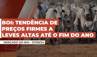 Alcides Torres - Analista de Mercado da Scot Consultoria