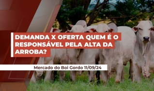 Laura Rezende - Consultora da Agrifatto