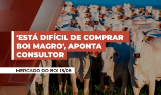Ronaty Makuko - Consultor Comercial da Pátria Agronegócios