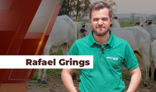 Rafael Grings - Consultor da Hedge Agro Consultoria