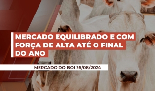 Hyberville Neto - Médico veterinário e Diretor da HN AGRO