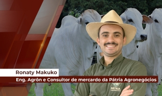 Ronaty Makuko - Eng. Agrôn e Consultor de mercardo da Pátria Agronegócios