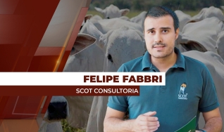 Felipe Fabbri - Analista de Mercado da Scot Consultoria