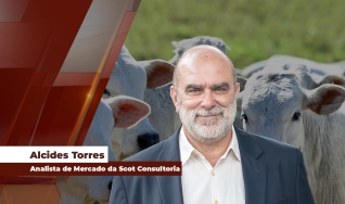 Alcides Torres - Analista de Mercado da Scot Consultoria