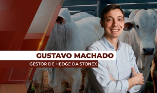 Gustavo Machado - Gestor de Hedge da StoneX