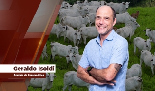 Geraldo Isoldi - Analista de Commodities