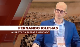 Fernando Henrique Iglesias - Analista da Safras & Mercado