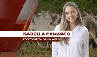 Isabella Camargo - Zootecnista e analista da HN Agro
