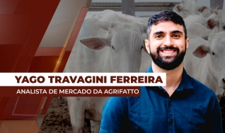 Yago Travagini Ferreira - Analista de Mercado da Agrifatto