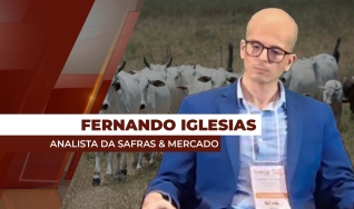 Fernando Henrique Iglesias - Analista da Safras & Mercado