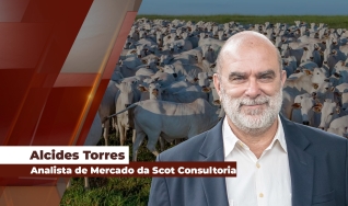 Alcides Torres - Analista de Mercado da Scot Consultoria