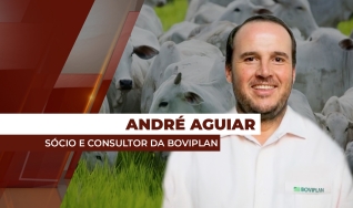 André Aguiar - Sócio e Consultor da Boviplan
