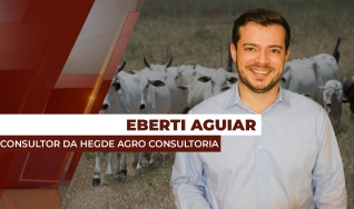 Eberti Aguiar - Consultor da Hegde Agro Consultoria