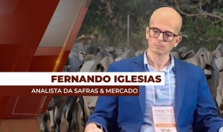 Fernando Henrique Iglesias - Analista da Safras & Mercado