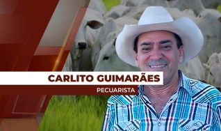 Carlito Guimarães - Pecuarista na Região de São José do Xingu/MT