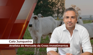 Caio Junqueira - Analista de Mercado da Cross Investimentos