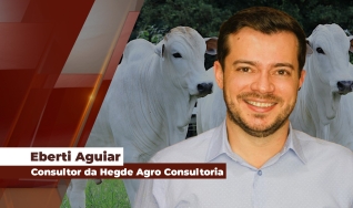 Eberti Aguiar - Consultor da Hegde Agro Consultoria