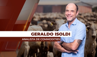 Geraldo Isoldi - Analista de Commodities