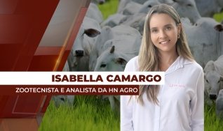 Isabella Camargo - Zootecnista e analista da HN Agro