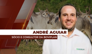 André Aguiar - Sócio e Consultor da Boviplan