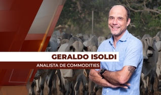 Geraldo Isoldi - Analista de Commodities