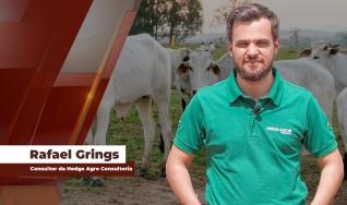 Rafael Grings - Consultor da Hedge Agro Consultoria