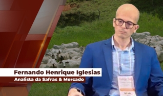 Fernando Henrique Iglesias - Analista da Safras & Mercado