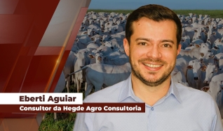 Eberti Aguiar - Consultor da Hegde Agro Consultoria