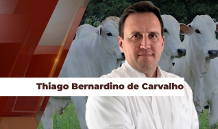 Thiago Bernardino de Carvalho - Pesquisador do Cepea
