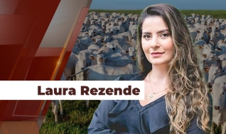 Laura Rezende - Consultora da Agrifatto
