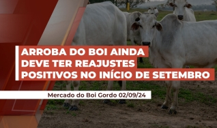 Thiago Bernardino de Carvalho - Pesquisador do Cepea