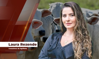 Laura Rezende - Consultora da Agrifatto